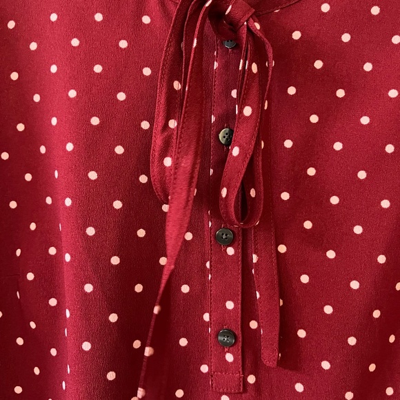Draper James merlot Polka Dot Rosanne Shift Dress - Picture 3 of 12